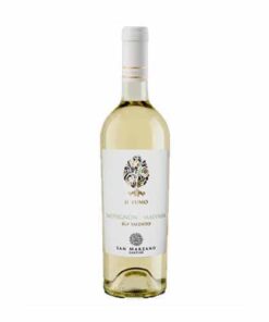 Vang trắng IL Pumo Negroamaro IGP Salento 12% - 750ml