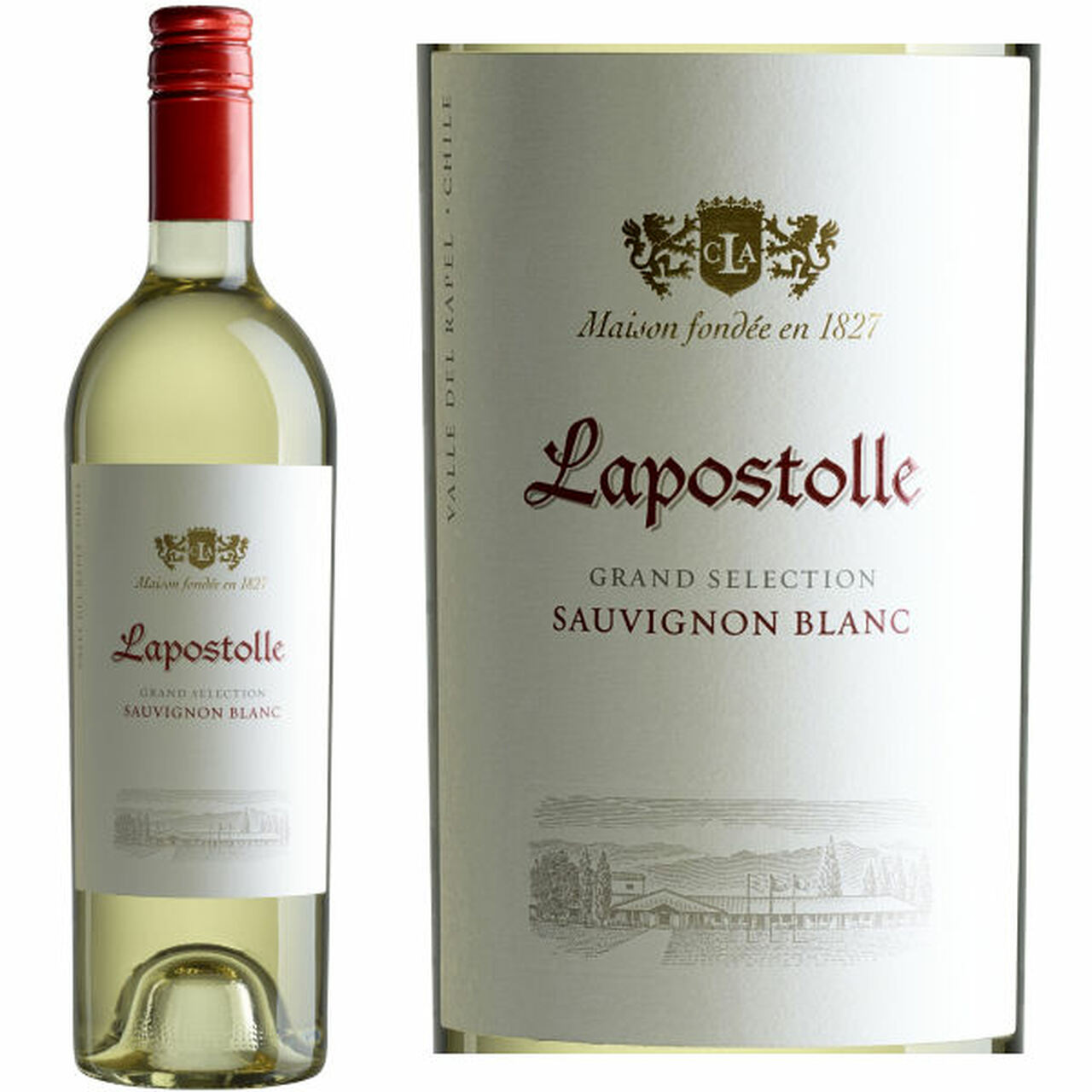 Rượu Vang Lapostolle Sauvigon Blanc