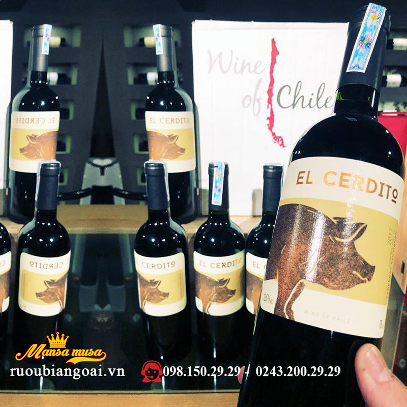 Rượu Vang Chile EL CERDITO Cabernet Sauvignon