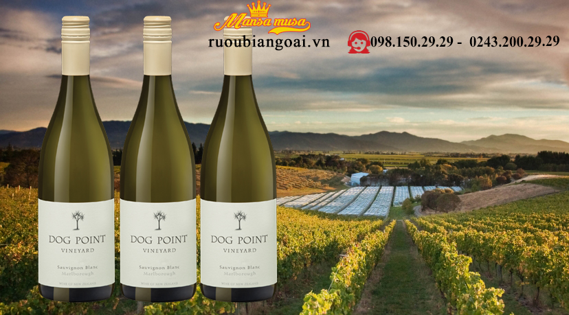 Rượu Vang Dog Point Vineyard Sauvignon Blanc 2017
