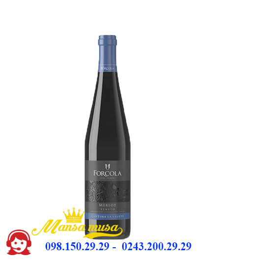 Rượu vang Forcola Merlot - Rượu vang Ý