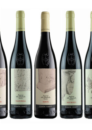 Rượu Vang Domini Veneti Amarone Collection – Bộ 5 Chai Amarone