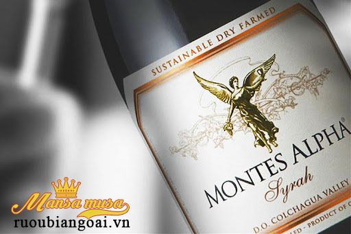Rượu Vang Montes Alpha Syrah - Rượu Vang Chile Rượu Vang Montes Alpha Syrah - Rượu Vang Chile
