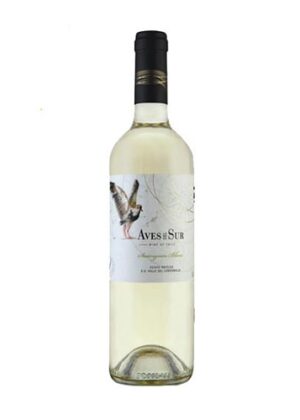 Vang Aves Del Sur Classico Sauvignon Blanc