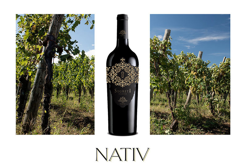 Rượu vang Nativ Segreti-1