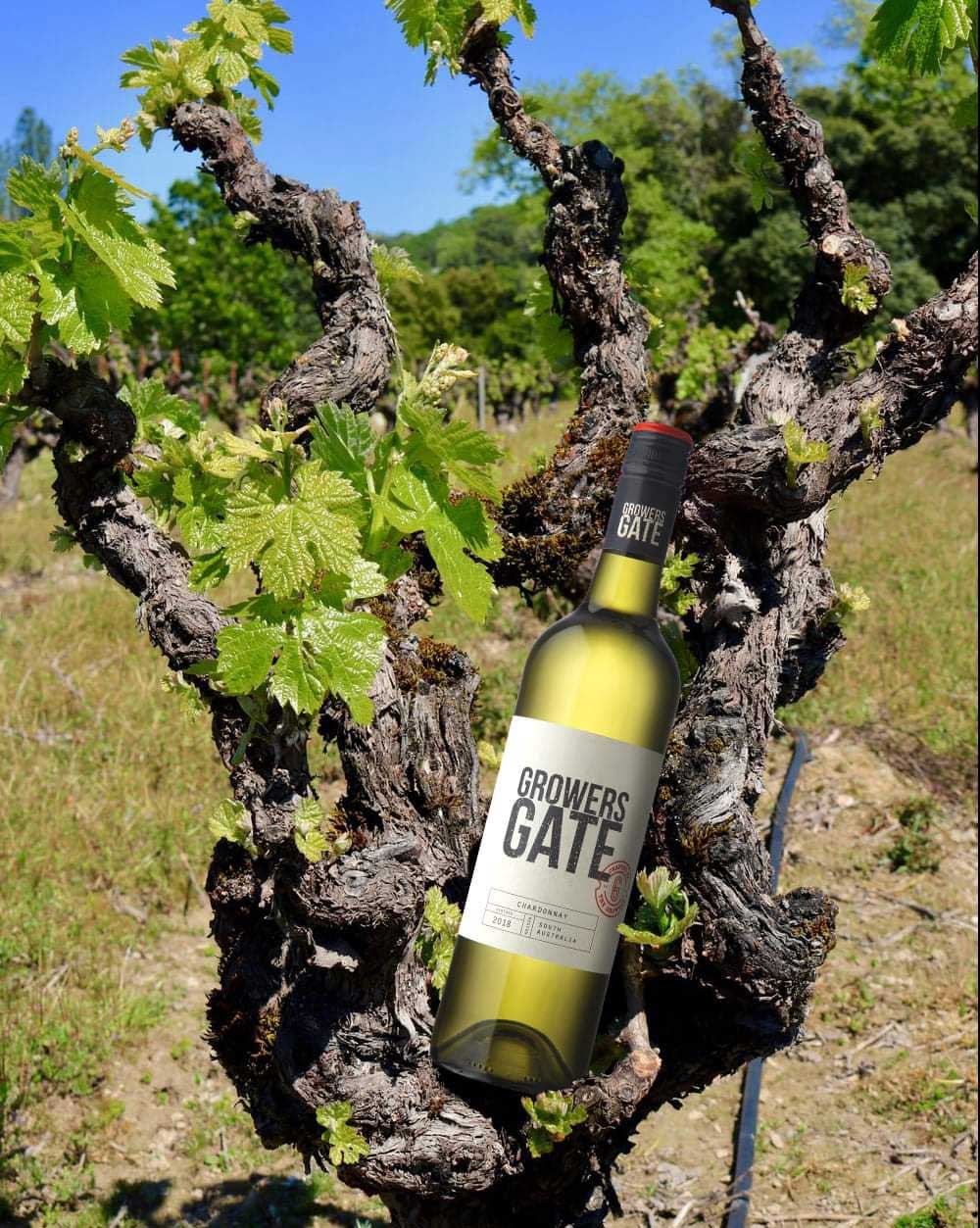 Rượu vang Growers Gate Chardonnay
