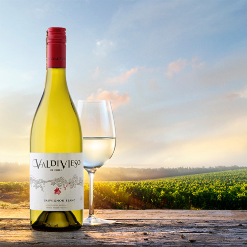 rượu vang valdivieso sauvignon blanc-1