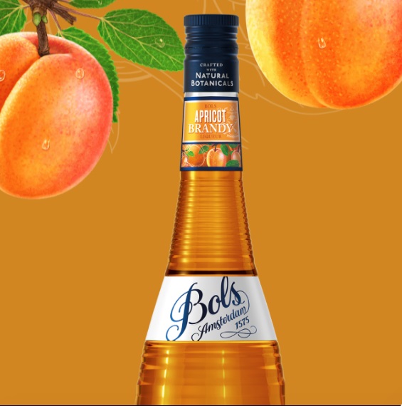 bols apricot brandy-1
