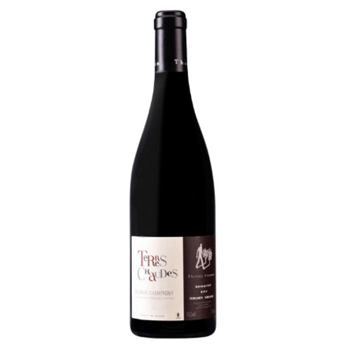 Rượu Vang Pháp Thierry Germain, Domaine des Roches Neuves, "Les Terres Chaudes", Saumur Champigny