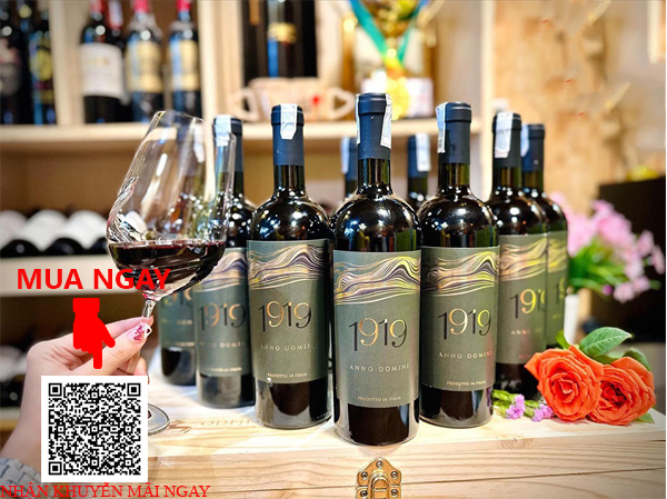 Rượu Vang Ý 1919 Anno Domini Vino Liquoroso Rosso
