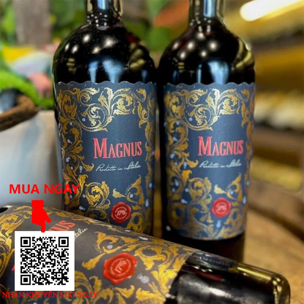 Rượu Vang Ý Magnus