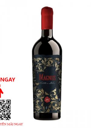 Rượu Vang Ý Magnus