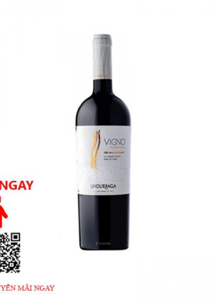 Rượu Vang Chile Vigno Red Wine