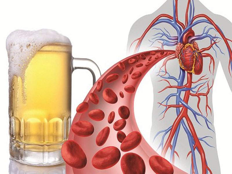 Uống bia tốt cho tim mạch