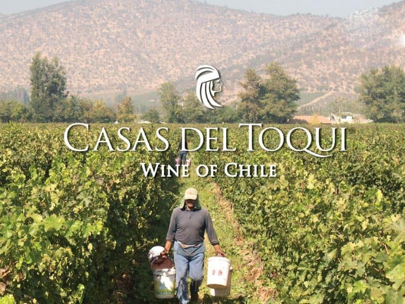 Vườn nho nhà sản xuất Vina casas del toqui