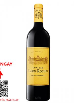 Rượu Vang Pháp Chateau Lafon Rochet 2013
