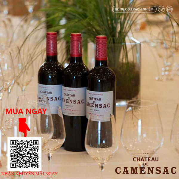 Rượu Vang Pháp Chateau de Camensac 2014
