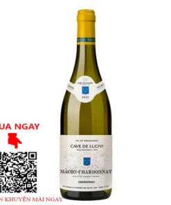 rượu vang trắng macon-lugny saint-pierre chardonnay