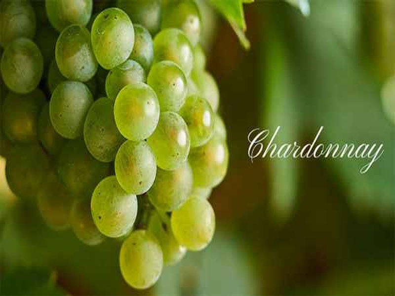 rượu champagne henri giraud aÿ grand cru brut mv 14