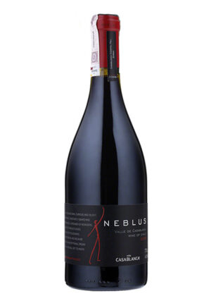 Rượu Vang Casablanca Neblus Syrah