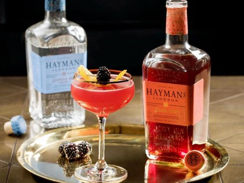 rượu gin london hayman's sloe