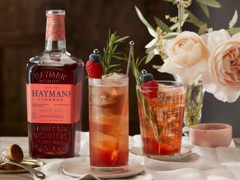 rượu gin london hayman's sloe