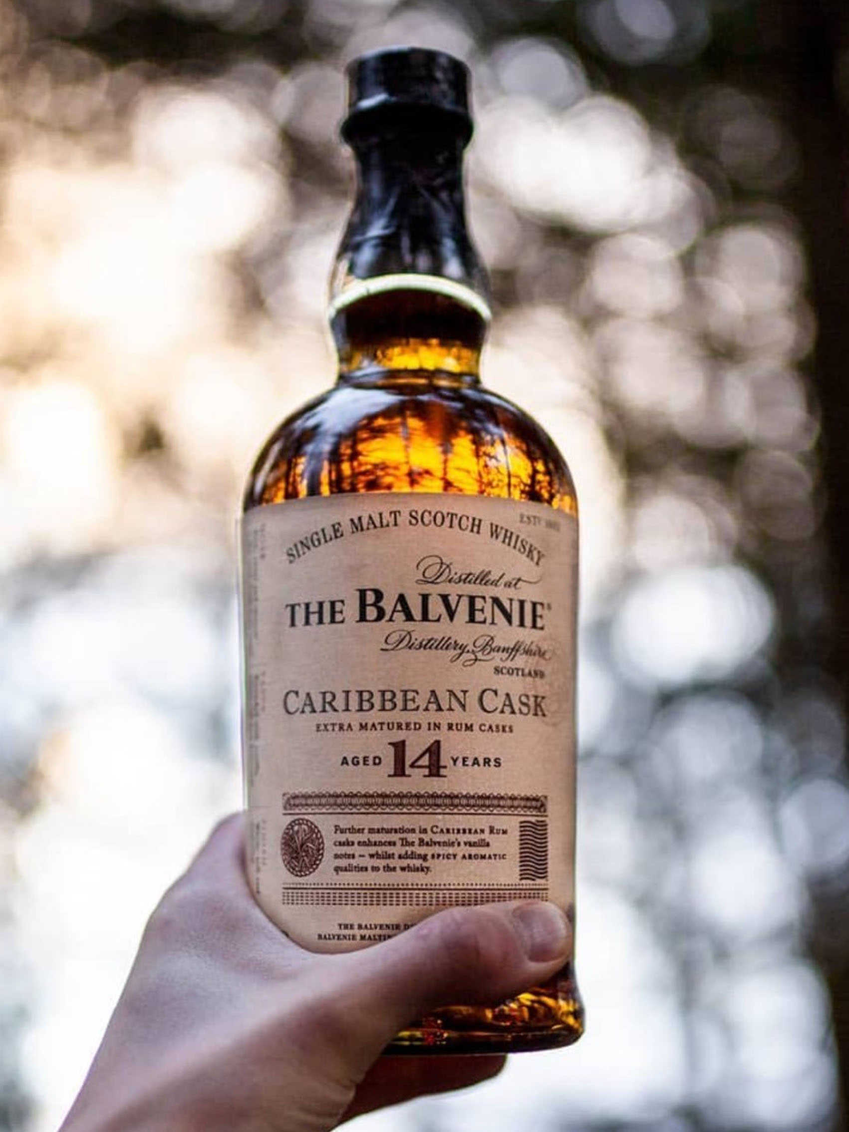 rượu whisky balvenie 14