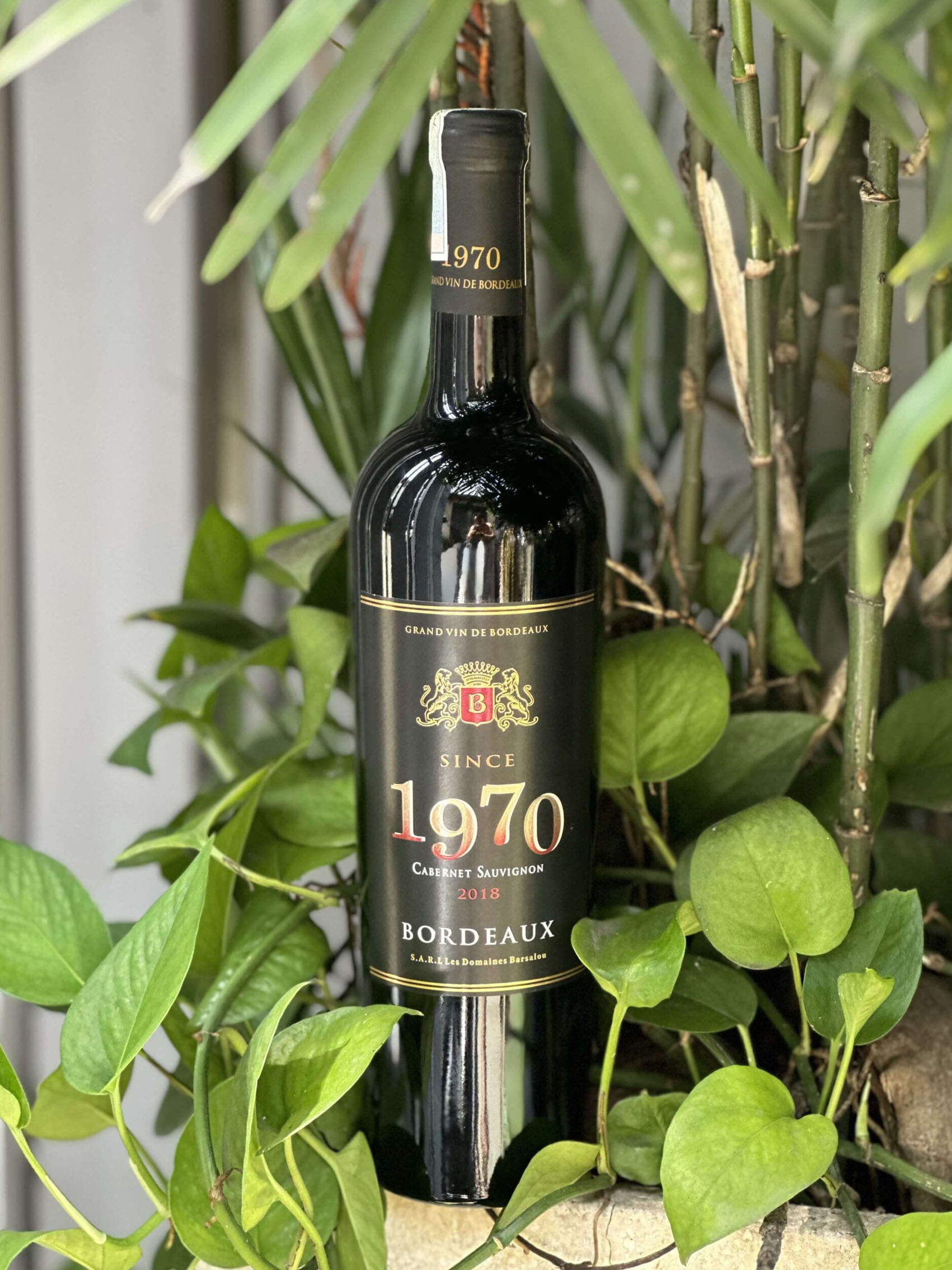 rượu vang bordeaux 1970 (quà tết 2025)