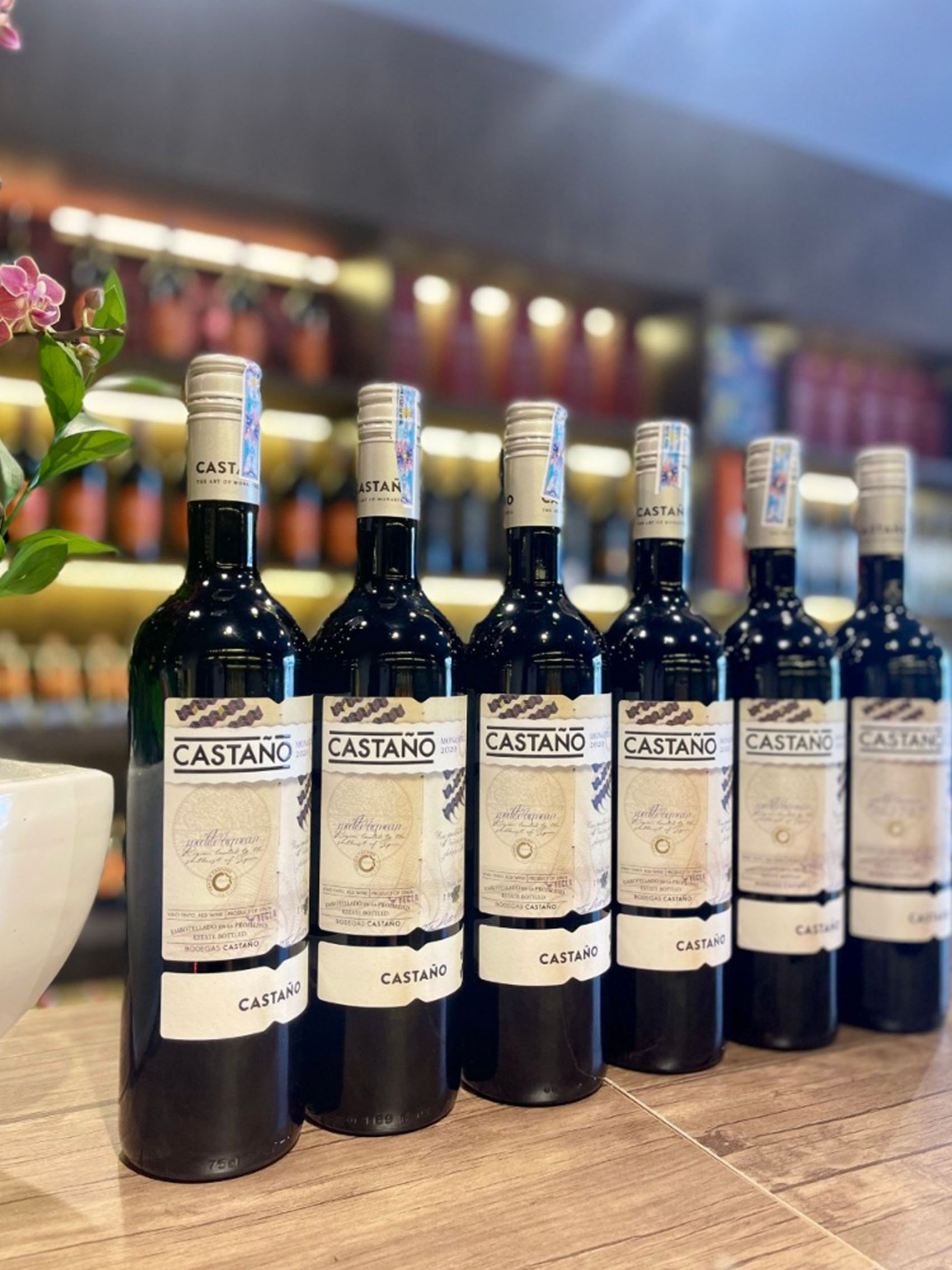 rượu vang castano monastrell (quà tết 2025)