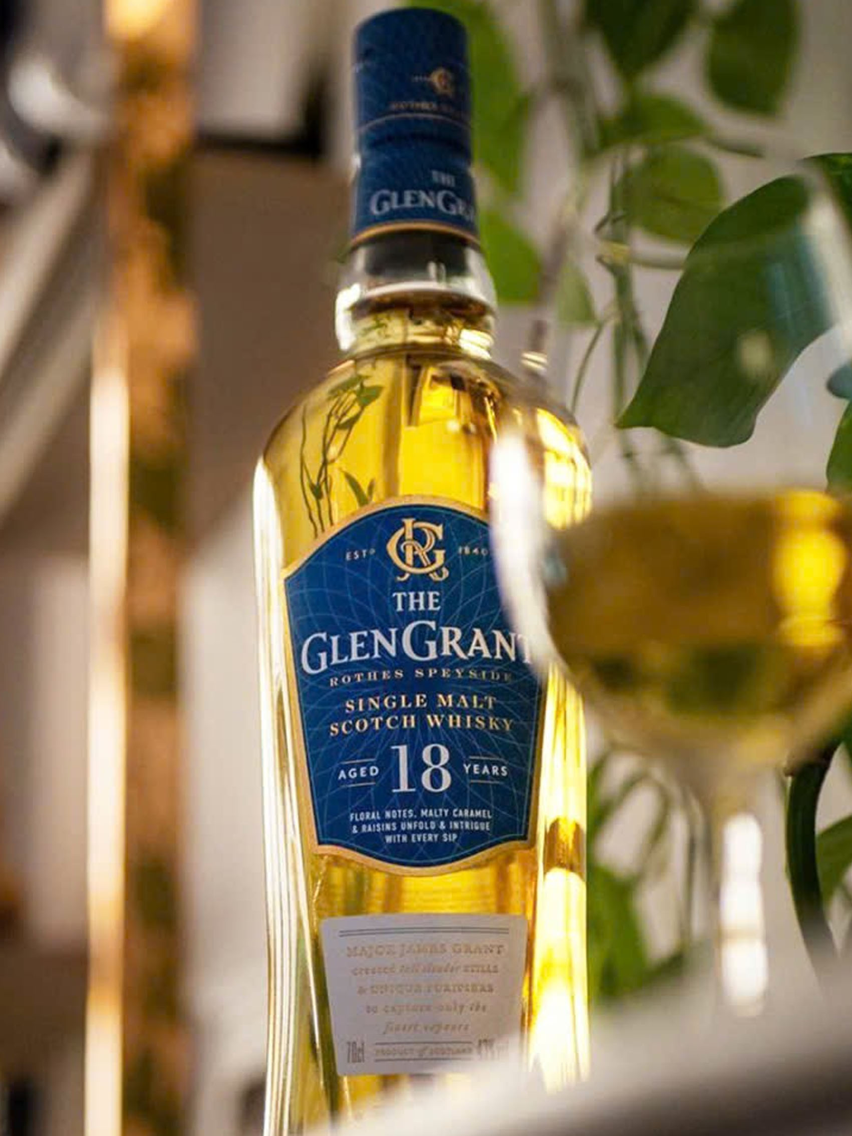 rượu glen grant 18 năm (hộp quà tết 2025)