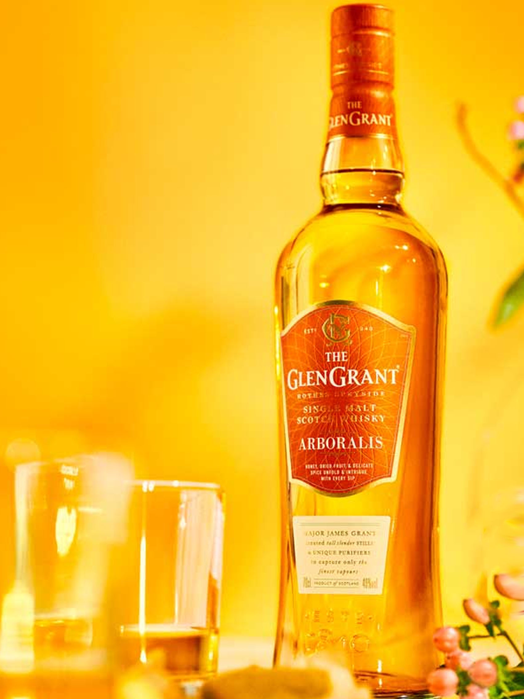 rượu glen grant arboralis (hộp quà tết 2025)