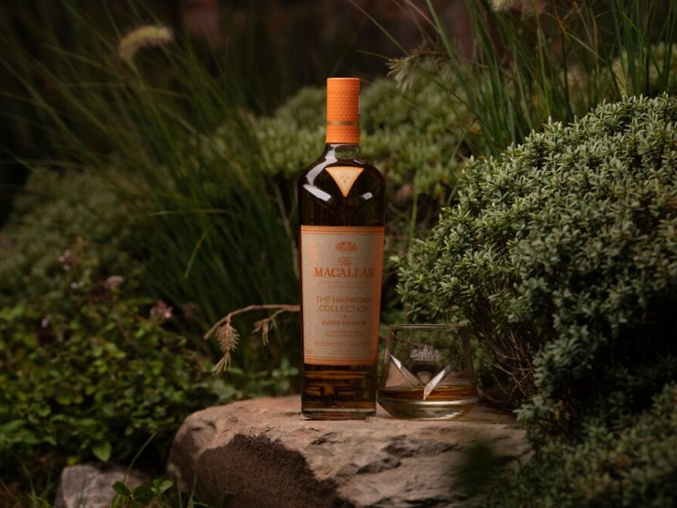 rượu macallan amber meadow