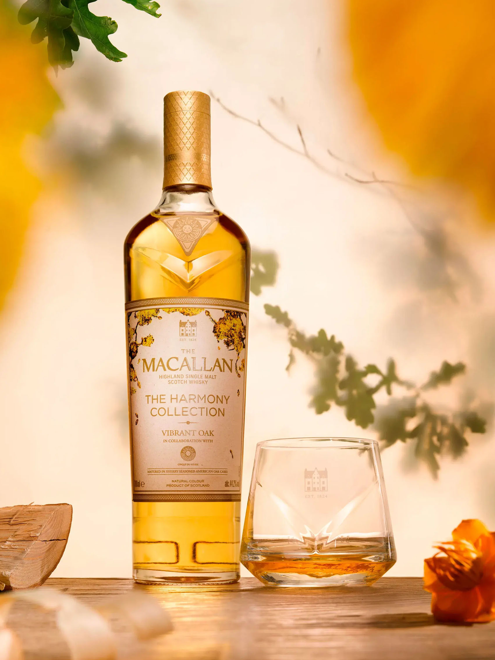 rượu macallan harmony collection vibrant oak