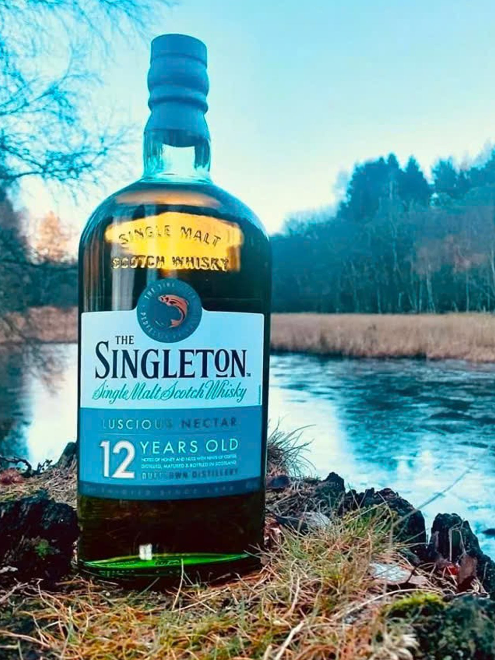 rượu singleton of glendullan 12 năm