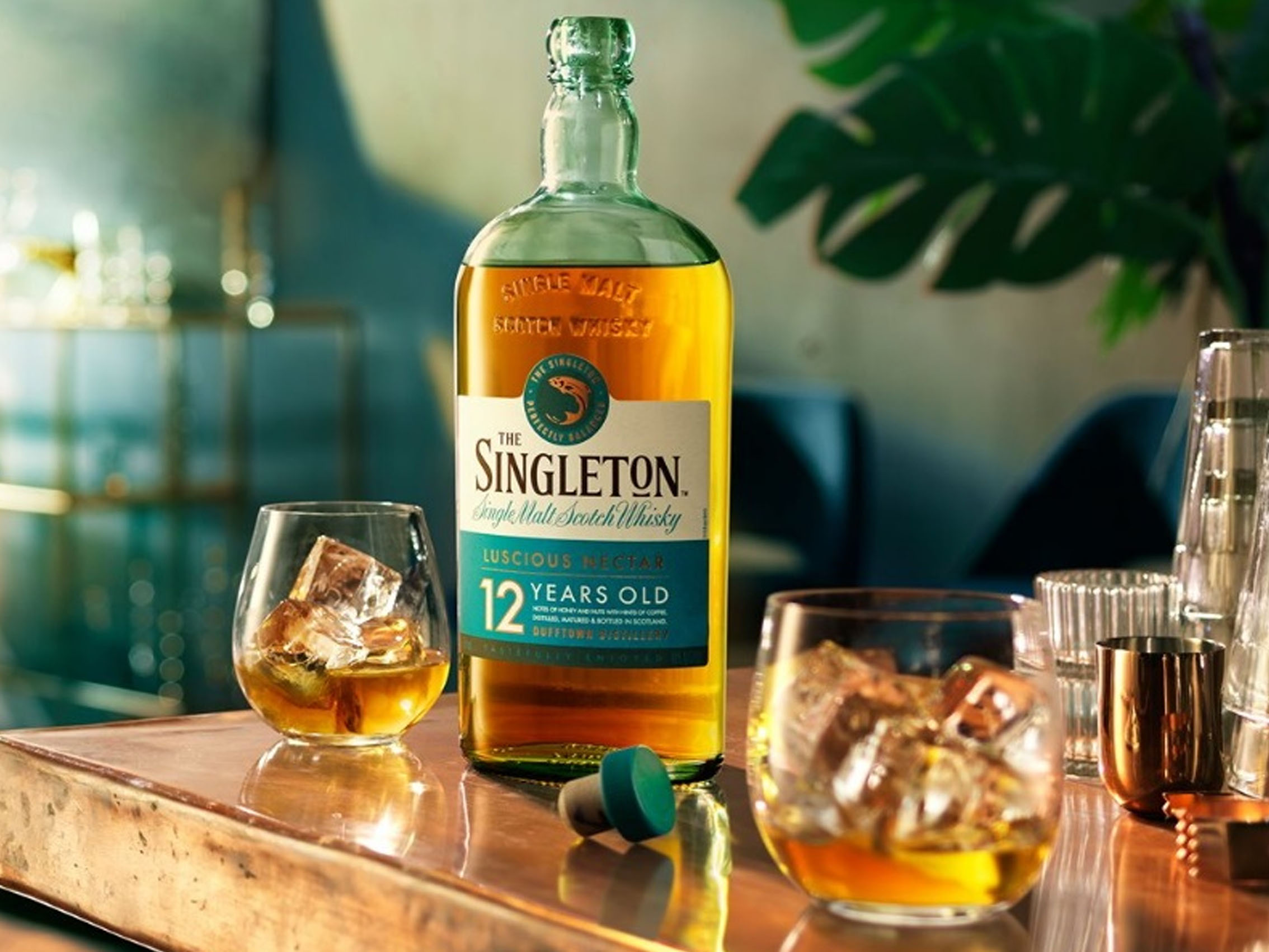 rượu singleton of glendullan 12 năm