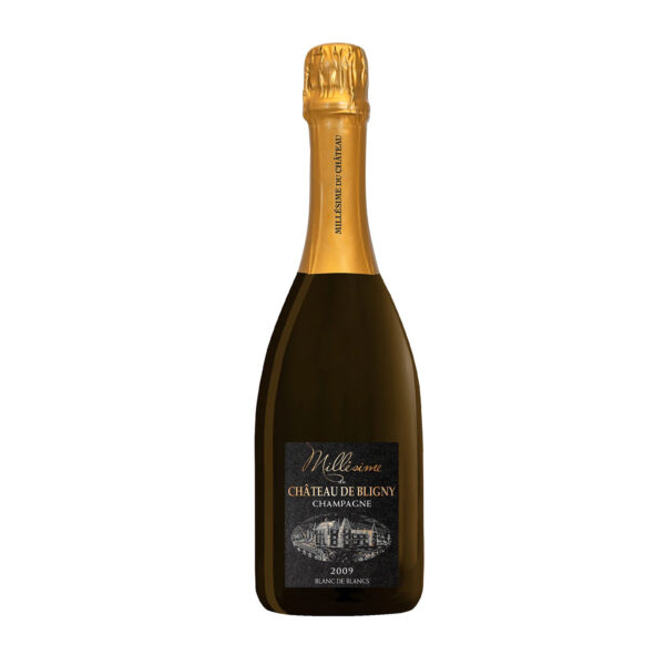 rượu champagne château de bligny brut millésimé