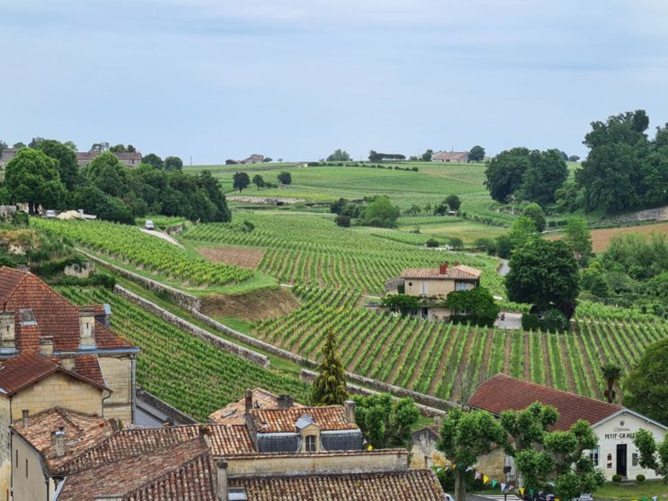 rượu vang château laroze saint émilion grand cru classé 2012