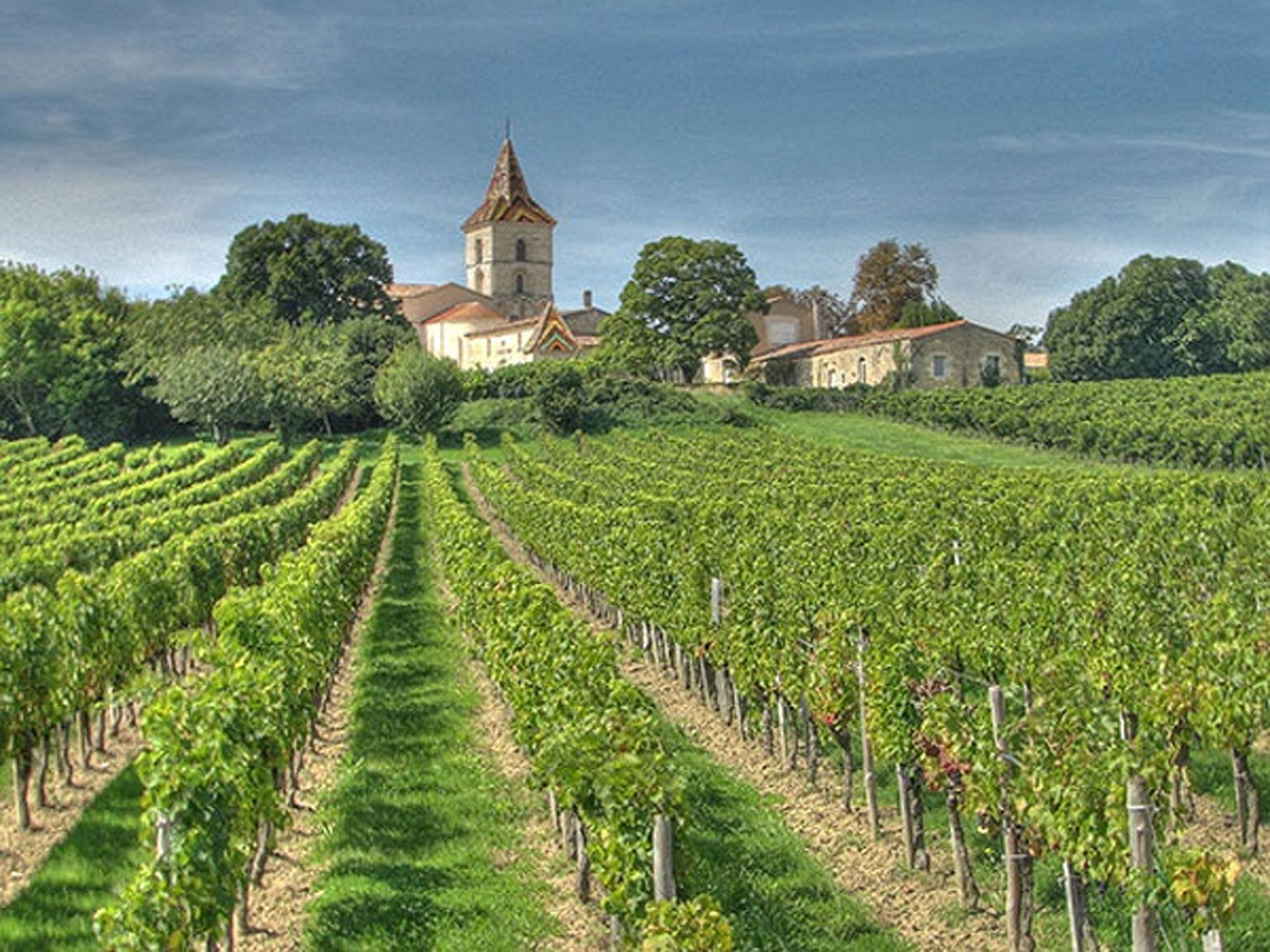 rượu vang château l'escart biodynamic