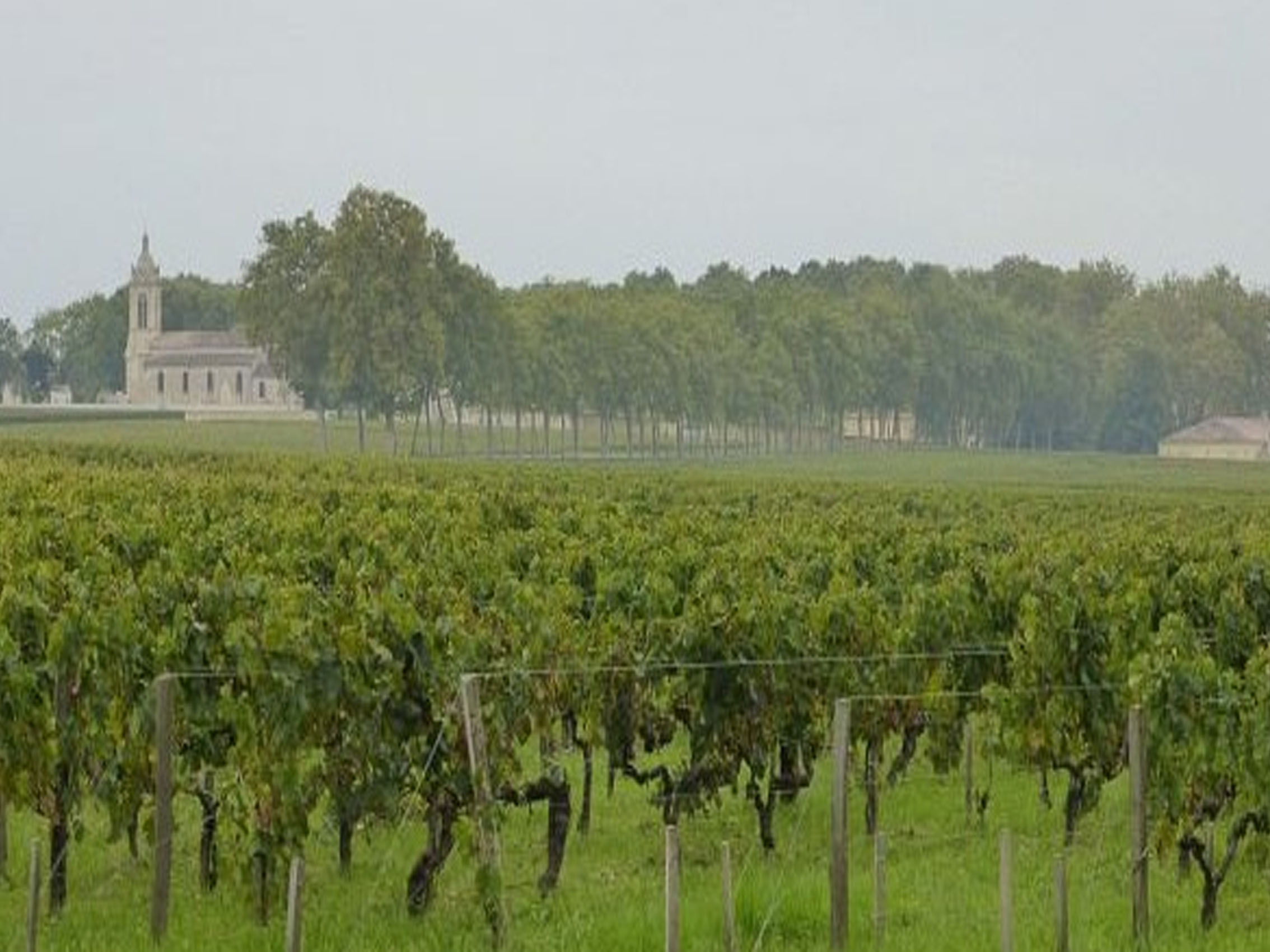 rượu vang château pontac lynch