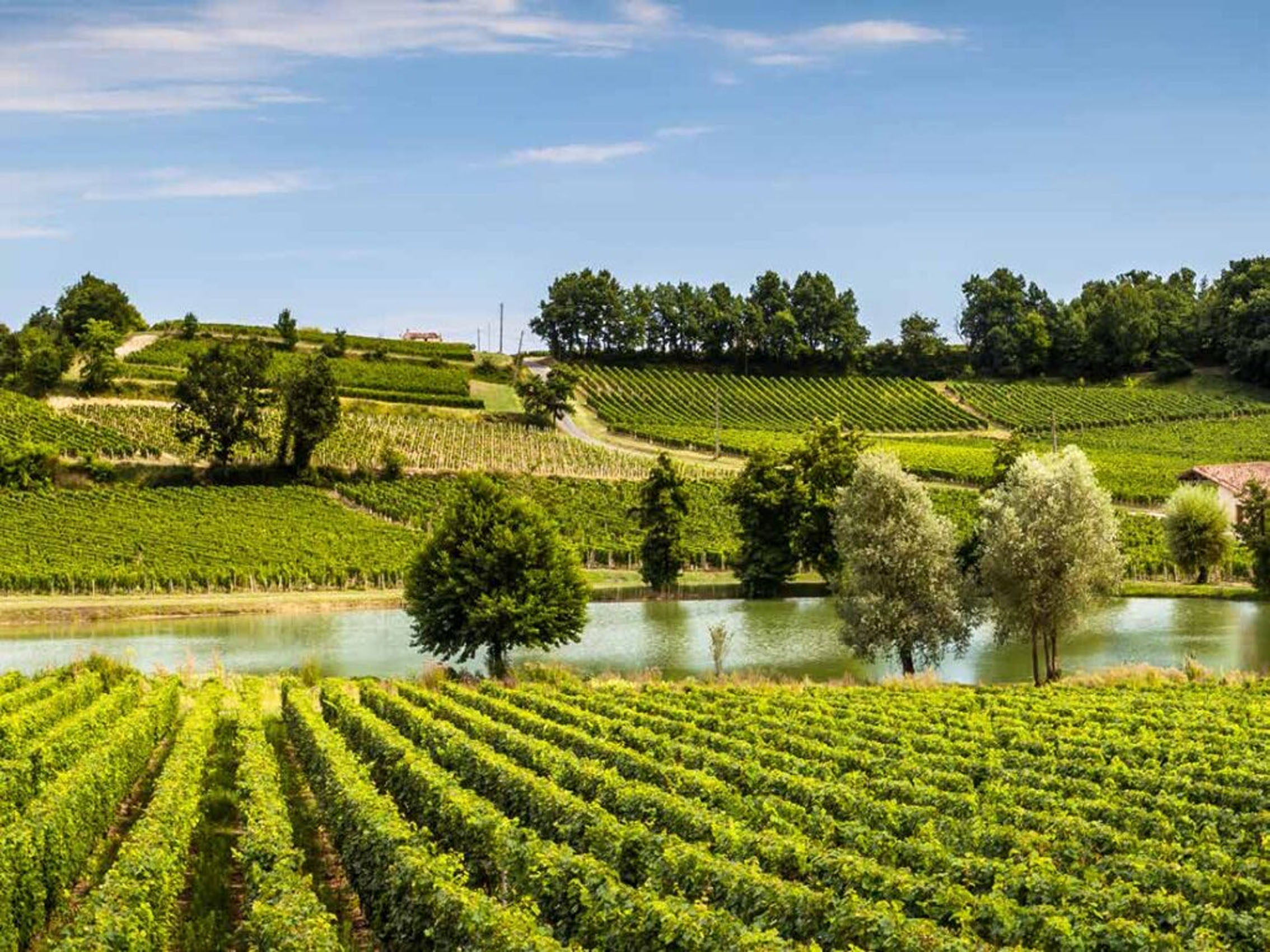 rượu vang château la rose bellevue cuvée grappe diem blanc