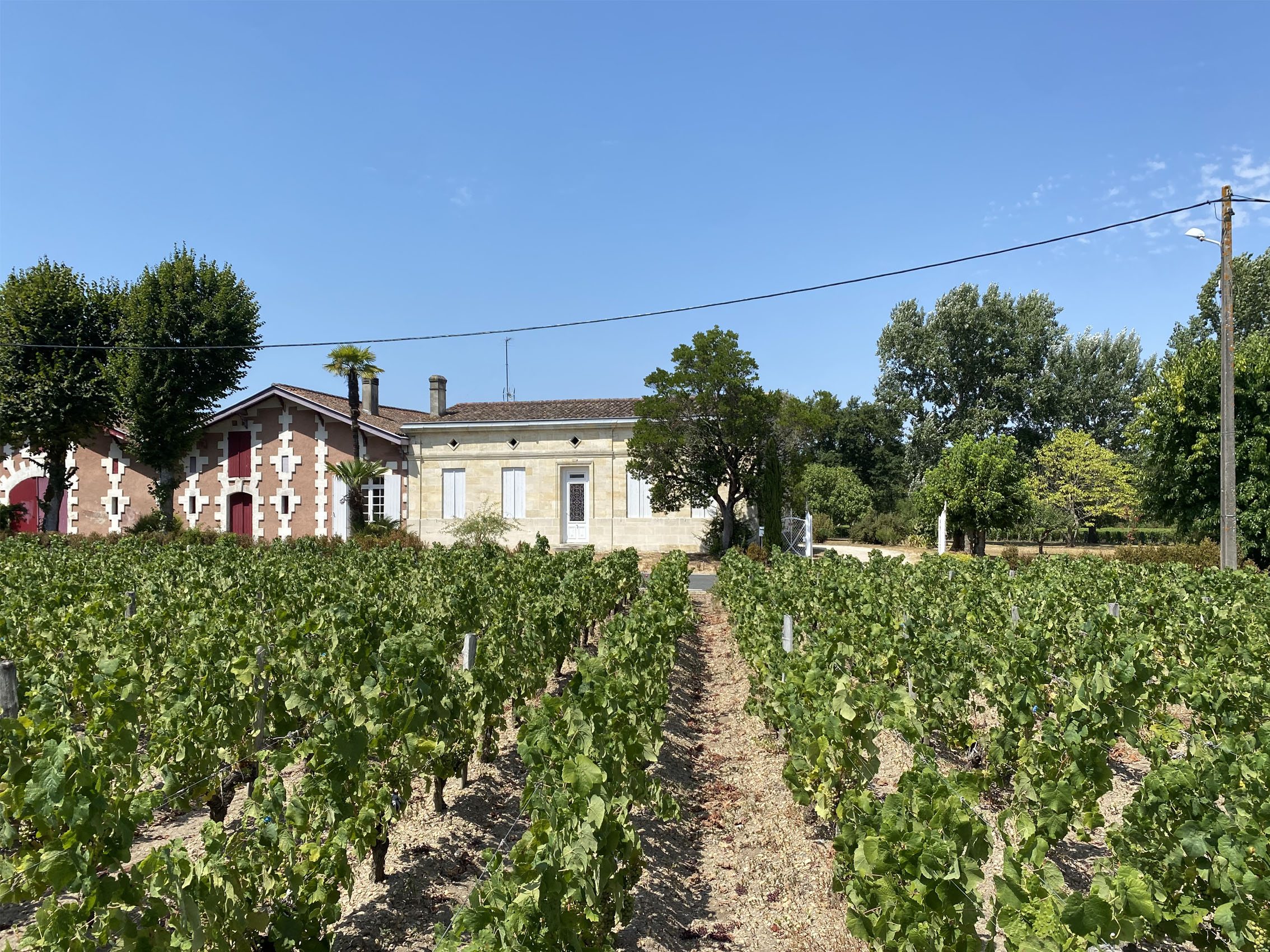 rượu vang château peyredon lagravette rượu vang château peyredon lagravette