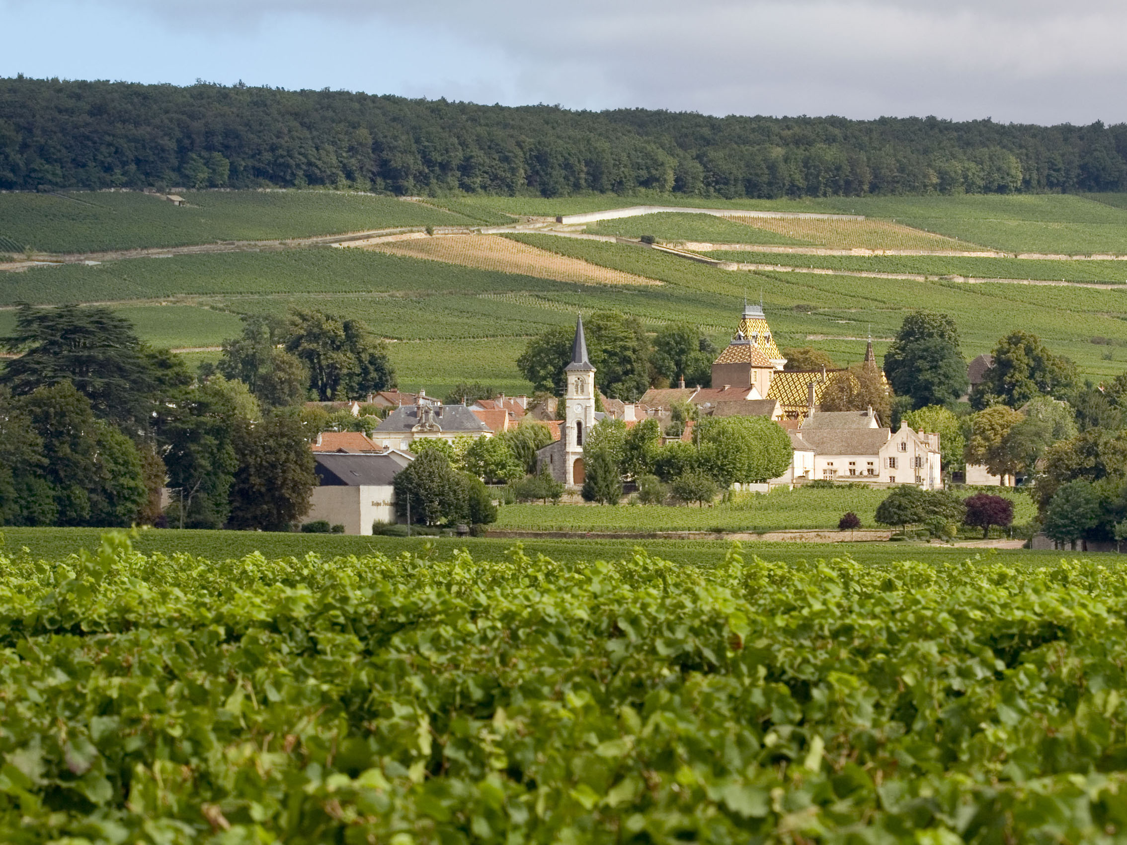 rượu vang domaine faiveley corton-charlemagne grand cru 2021