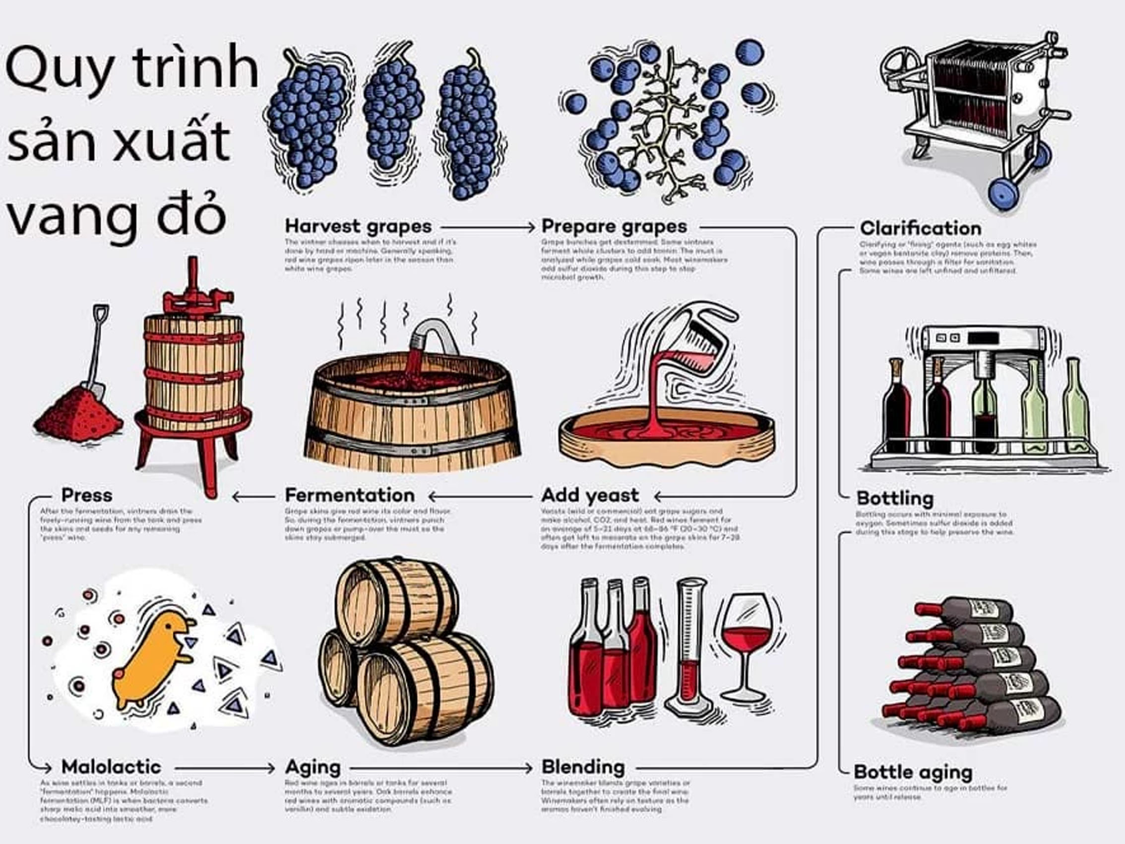 rượu vang domaine faiveley gevrey chambertin premier cru les cazetiers 2014