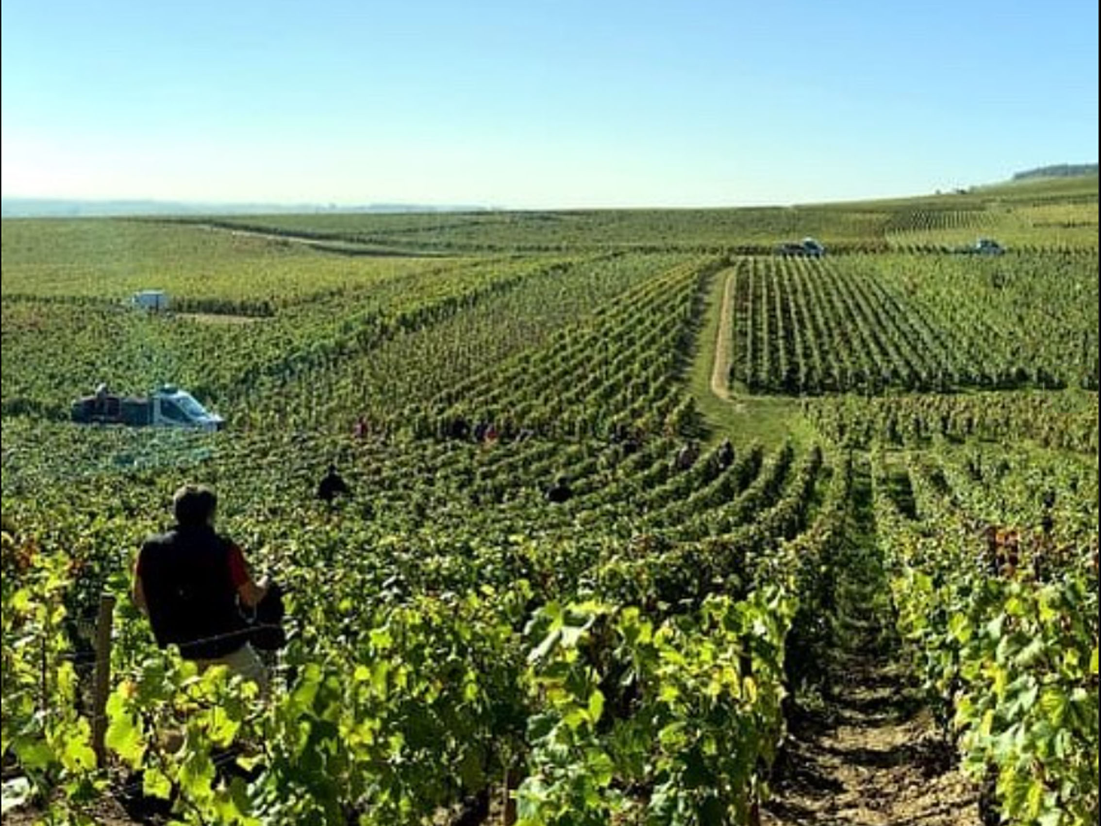 rượu vang domaine faiveley mercurey premier cru clos des myglands monopole 2021