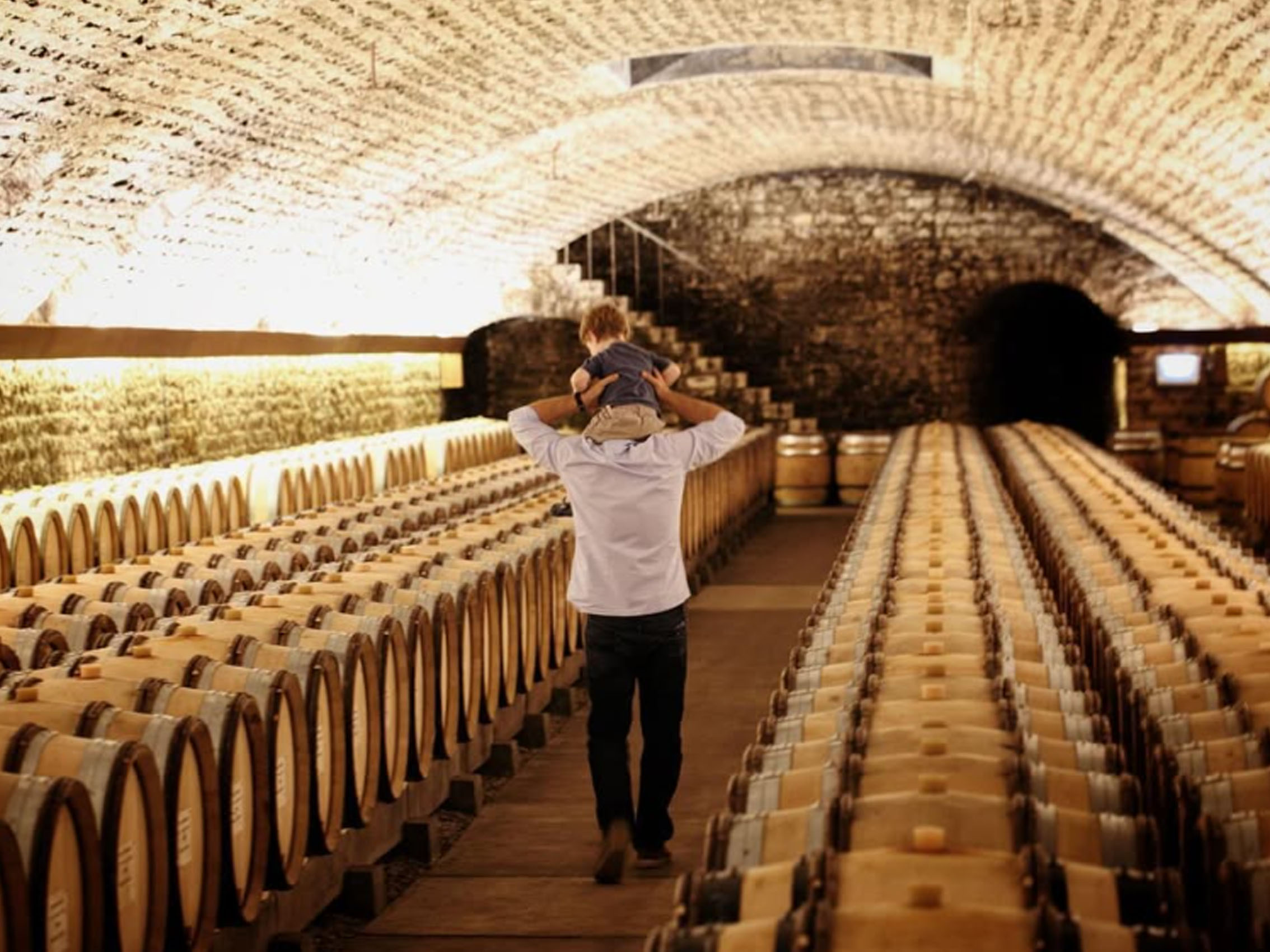 rượu vang domaine faiveley mercurey premier cru clos des myglands monopole 2021