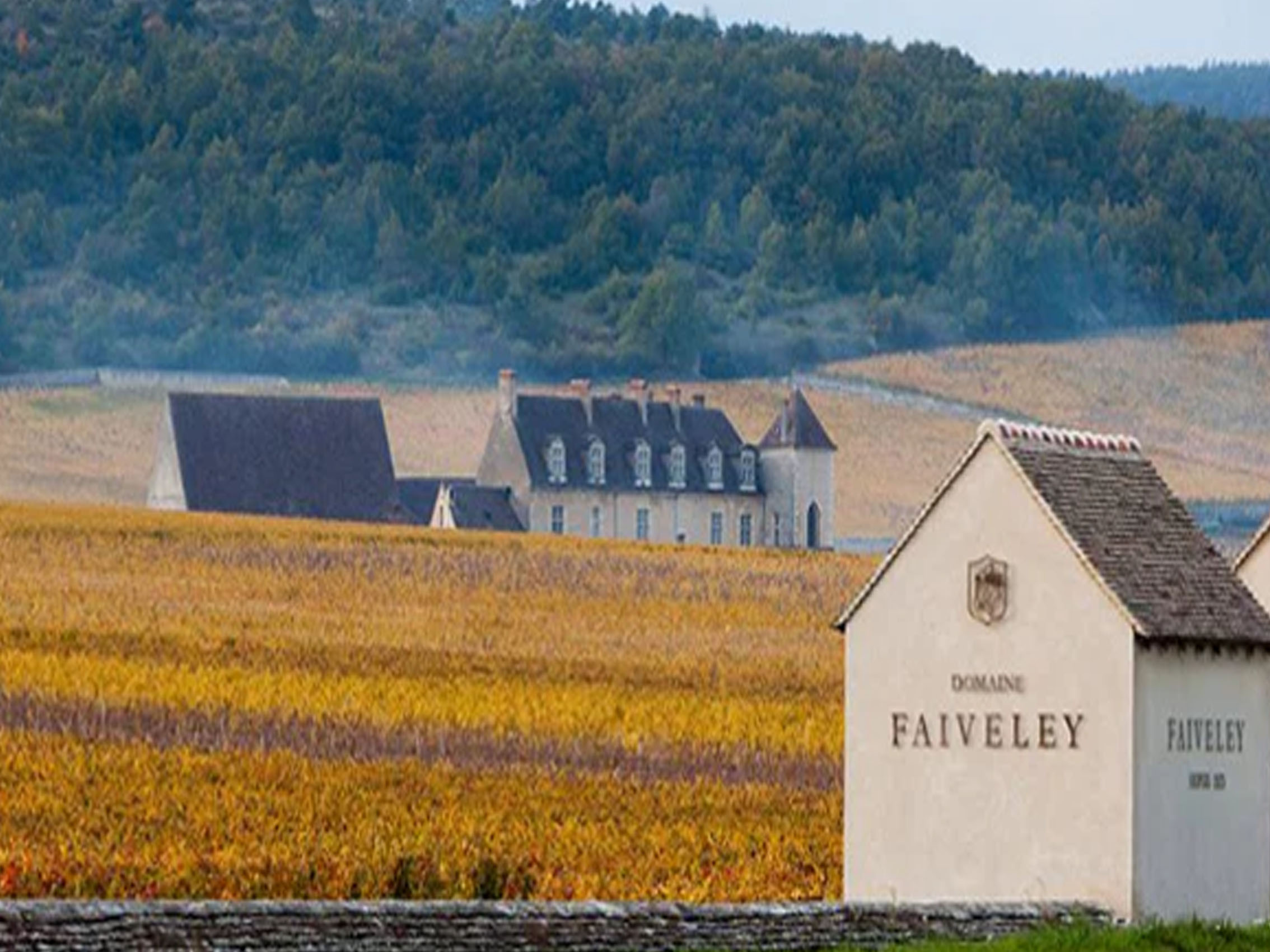 rượu vang domaine faiveley mercurey vieilles vignes 2019