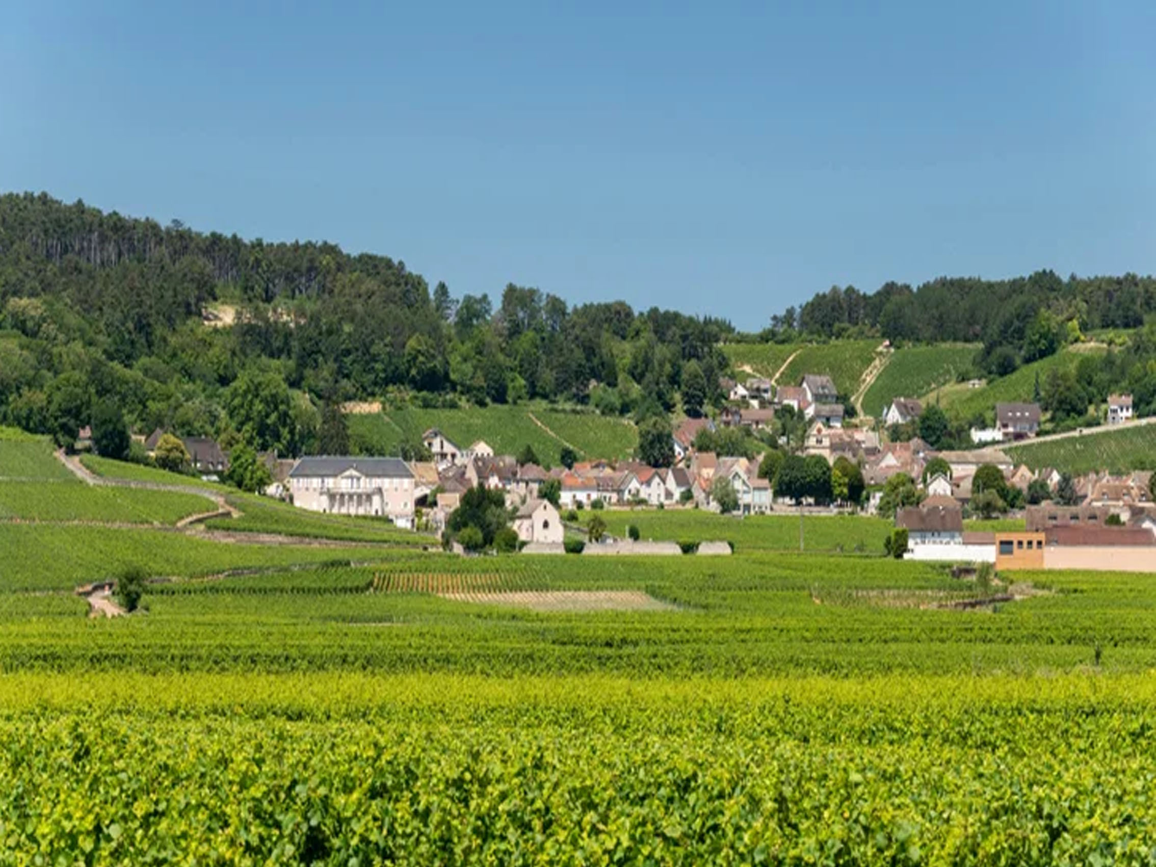 rượu vang domaine faiveley volnay premier cru frémiets