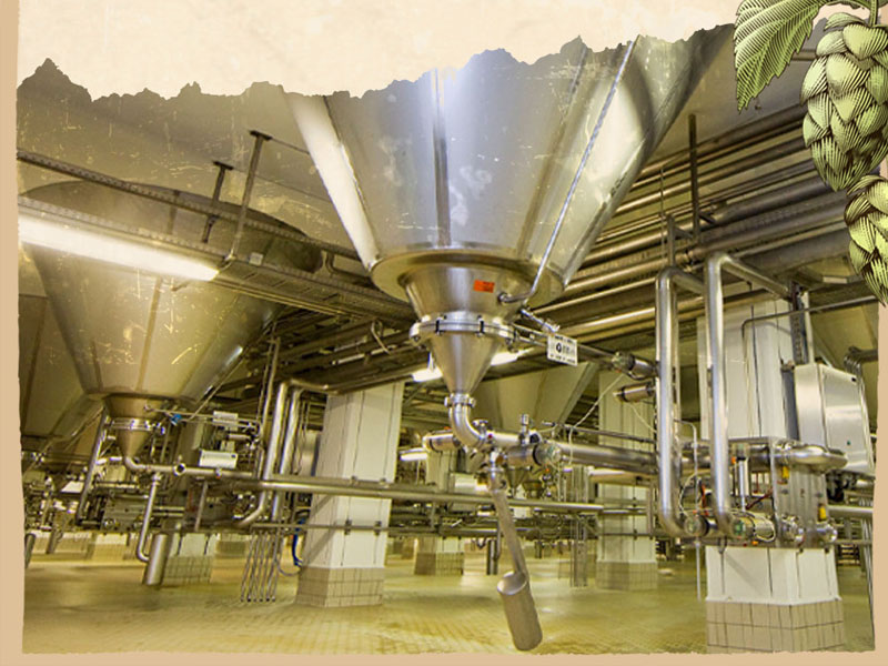 hộp quà bia đức dinkelacker privat export 12 chai/hộp hộp quà bia đức dinkelacker privat export 12 chai/hộp