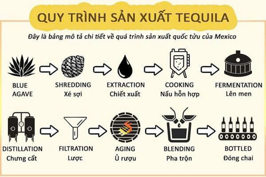 Rượu tequila là gì? Hướng dẫn chi tiết A-Z cho người mới