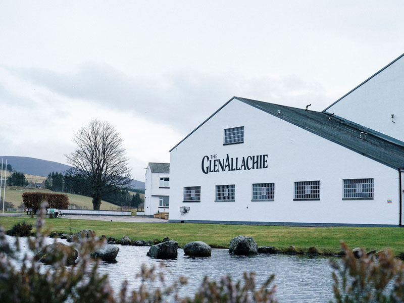 glenallachie 2008 cask no.805428 glenallachie 2008 cask no.805428